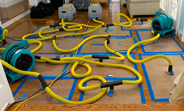 Professional Water Damage Restoration technician working in Weeping Water, NE